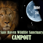 Safe Haven Wildlife Sanctuary CAMPOUT